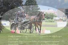 ref. photo 3238181