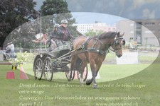 ref. photo 3238182