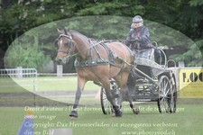 ref. photo 3238185