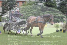 ref. photo 3238186