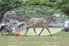 ref. photo 3238187