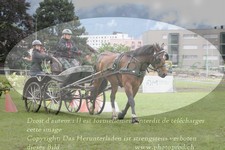 ref. photo 3238193