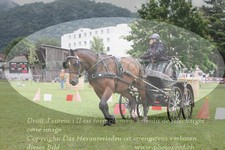 ref. photo 3238194