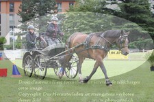 ref. photo 3238197