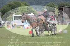 ref. photo 3238200