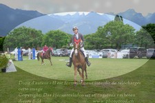 ref. photo 3238490