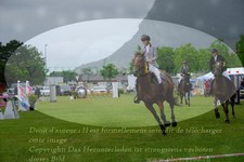 ref. photo 3238500