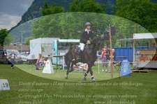 ref. photo 3238536