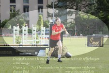 ref. photo 3238541