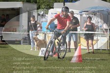 ref. photo 3238594