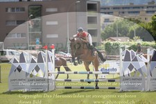 ref. photo 3238598