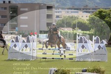 ref. photo 3238636