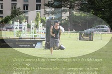 ref. photo 3238644
