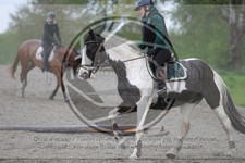 ref. photo 4019557