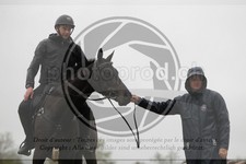 ref. photo 4019569
