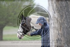ref. photo 4019586