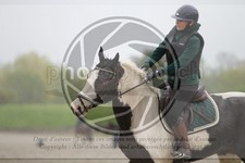 ref. photo 4019619