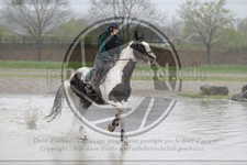 ref. photo 4019670