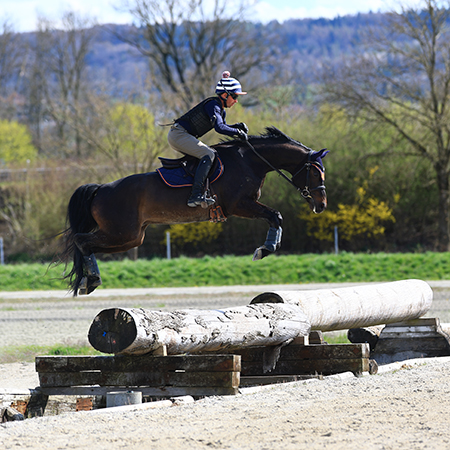 Avenches Schneider-Stall-Kurs