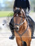 ref. photo 4014291