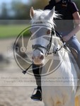 ref. photo 4014299