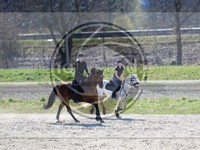 ref. photo 4014305