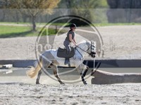 ref. photo 4014311