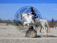 ref. photo 4014337