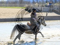 ref. photo 4014354