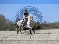 ref. photo 4014357
