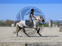 ref. photo 4014436