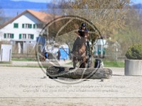 ref. photo 4014441