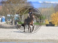 ref. photo 4014442