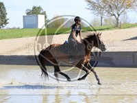 ref. photo 4014446