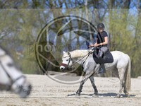 ref. photo 4014451