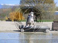 ref. photo 4014453