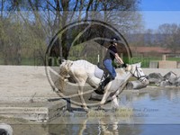 ref. photo 4014460