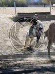 ref. photo 4014483