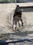ref. photo 4014490