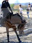 ref. photo 4014493