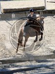 ref. photo 4014494