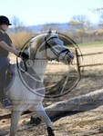 ref. photo 4014499