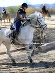 ref. photo 4014501