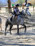 ref. photo 4014503