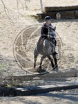 ref. photo 4014504