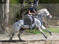 ref. photo 4014509