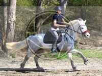 ref. photo 4014512