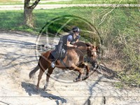 ref. photo 4014514