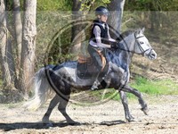 ref. photo 4014522
