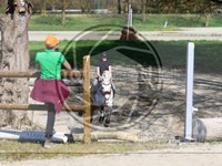 ref. photo 4014527